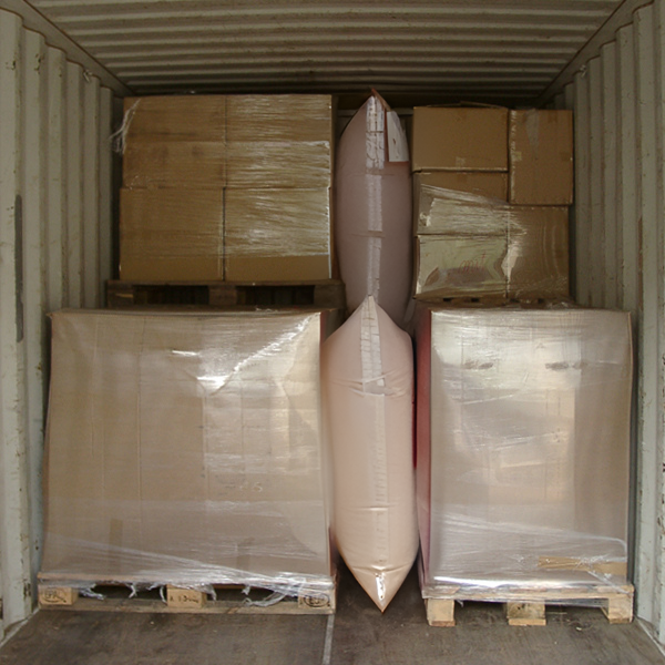 Cargo Guardian Stuwzak vastzetten lading